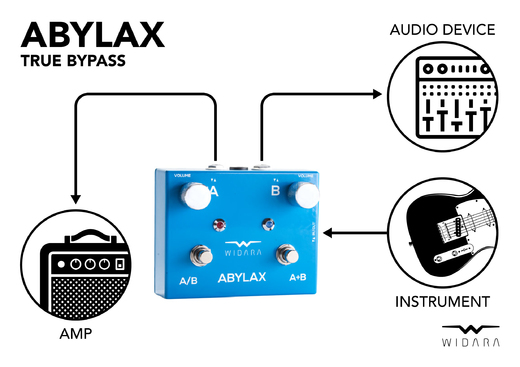 Widara_ABYLAX_diagram_hi-res_02.jpg