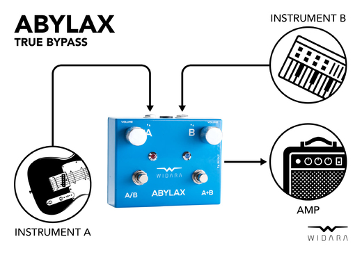 Widara_ABYLAX_diagram_hi-res_03.jpg